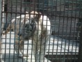 /album/galeria-de-fotos/zoo-19-jpg/
